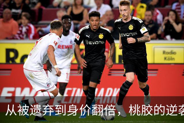 从被遗弃到身价翻倍，桃胶的逆袭之路